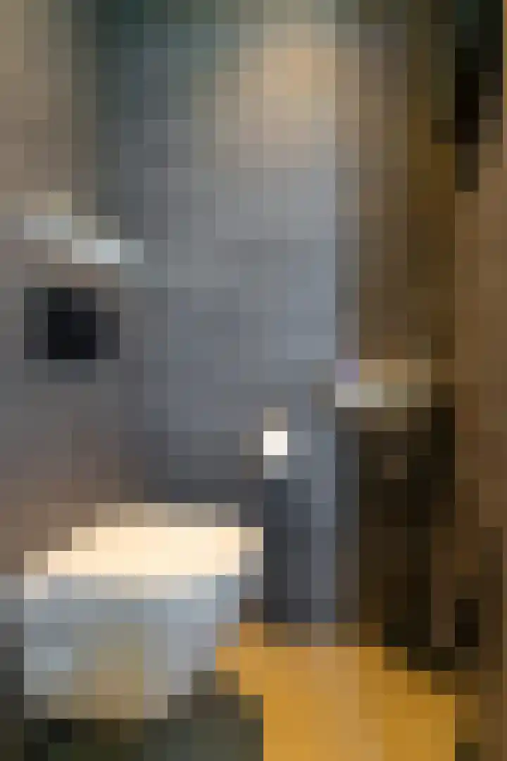Prattenburg 35 Vleuten thumbnail 31