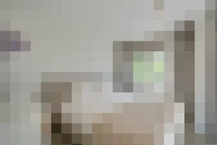 Prattenburg 35 Vleuten thumbnail 33