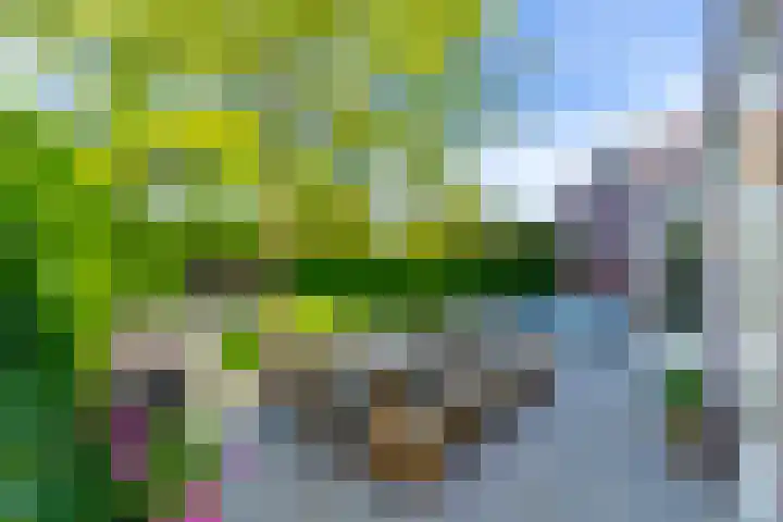 Prattenburg 35 Vleuten thumbnail 4
