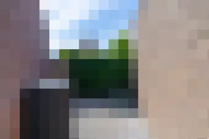 Prattenburg 35 Vleuten thumbnail 55
