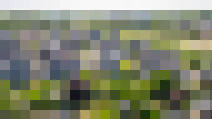 Prattenburg 35 Vleuten thumbnail 59