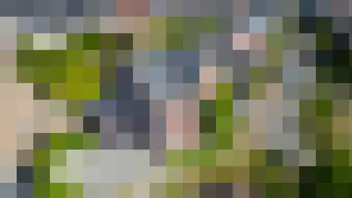 Prattenburg 35 Vleuten thumbnail 61
