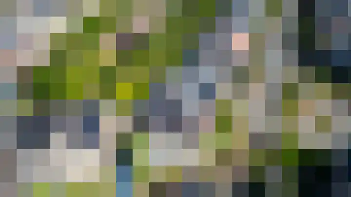 Prattenburg 35 Vleuten thumbnail 65