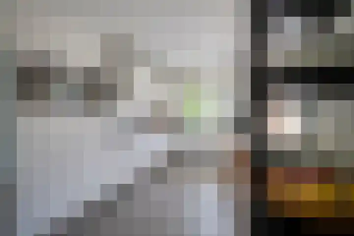 Prattenburg 35 Vleuten thumbnail 8