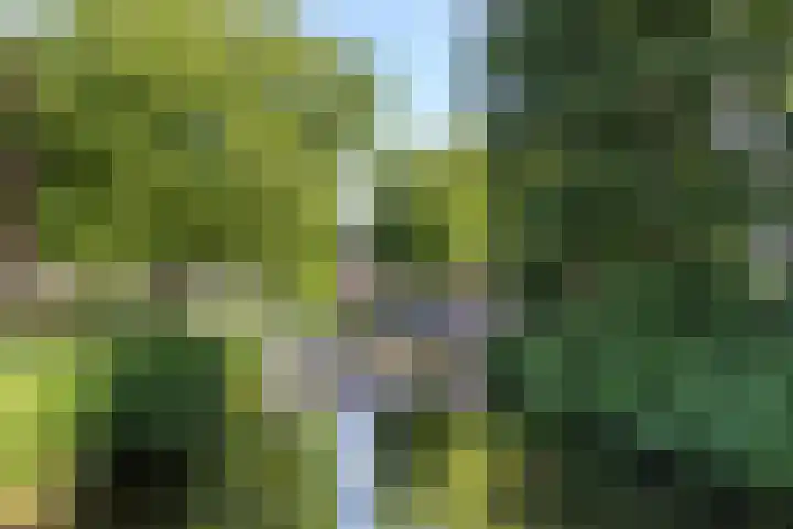 Prattenburg 373 Haarlem thumbnail 23
