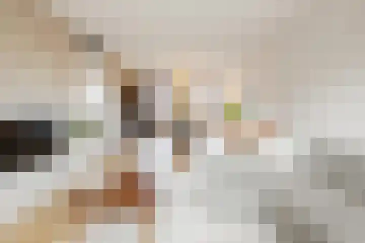 Prattenburg 4 Vleuten thumbnail 10