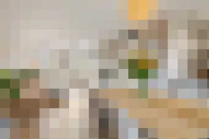 Prattenburg 4 Vleuten thumbnail 14
