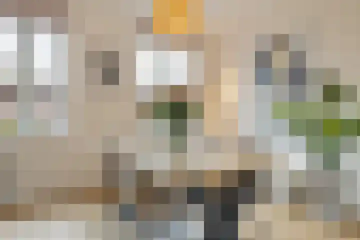 Prattenburg 4 Vleuten thumbnail 15