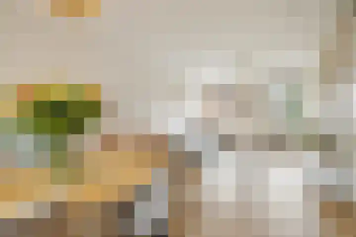 Prattenburg 4 Vleuten thumbnail 16