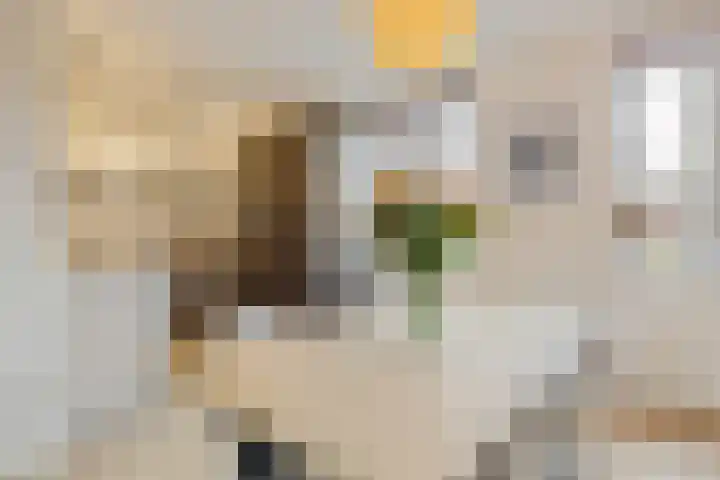 Prattenburg 4 Vleuten thumbnail 18