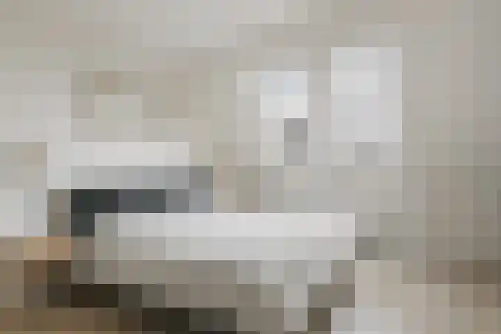 Prattenburg 4 Vleuten thumbnail 25