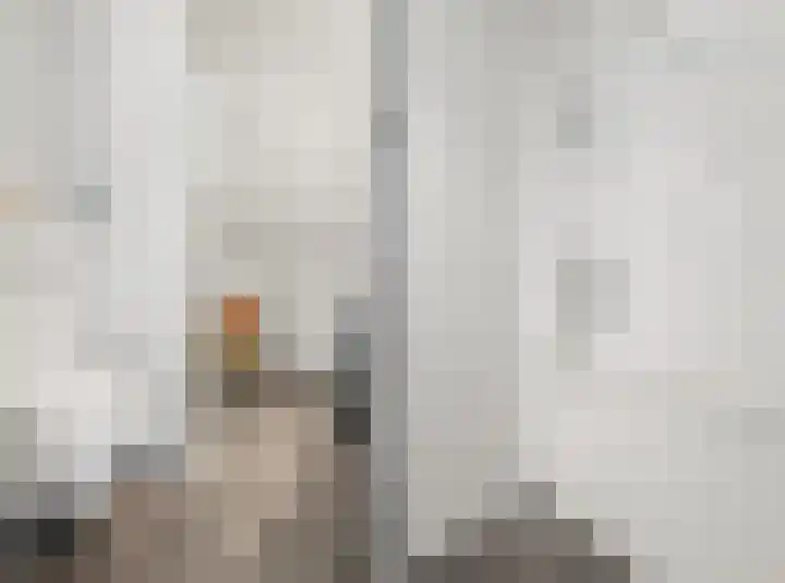 Prattenburg 4 Vleuten thumbnail 32