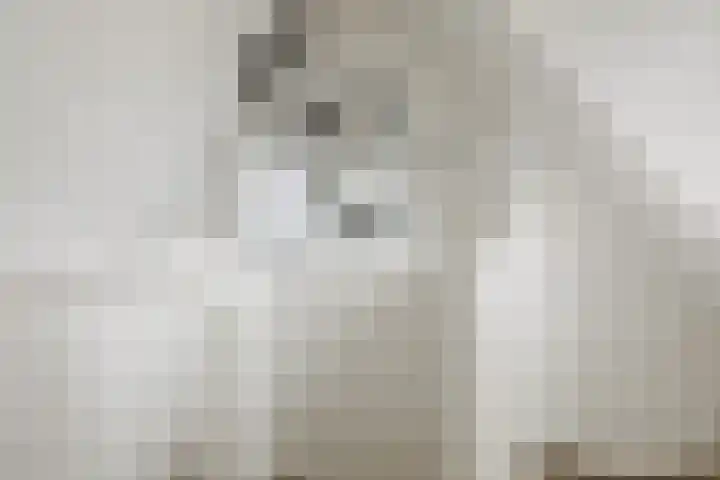 Prattenburg 4 Vleuten thumbnail 34