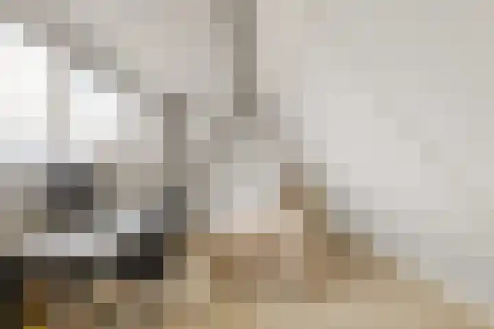 Prattenburg 4 Vleuten thumbnail 36