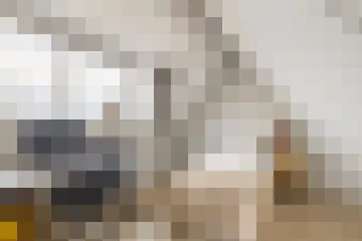 Prattenburg 4 Vleuten thumbnail 37