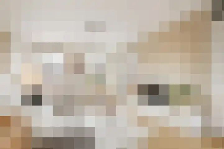 Prattenburg 4 Vleuten thumbnail 8