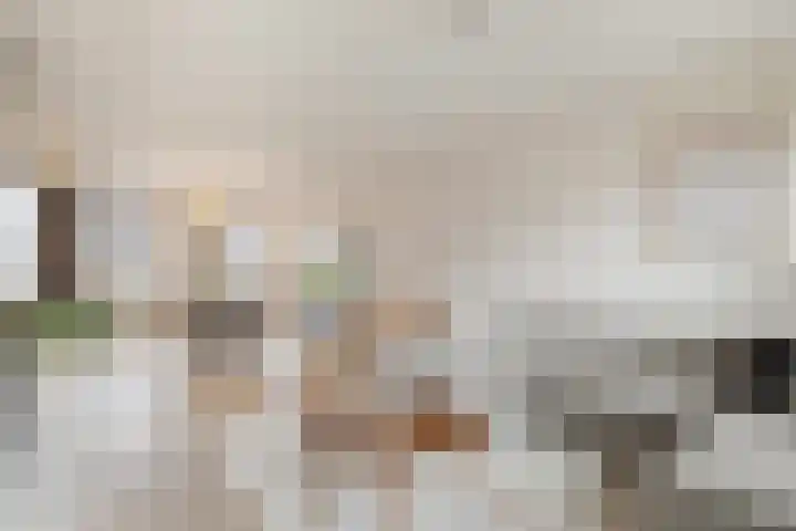 Prattenburg 4 Vleuten thumbnail 9