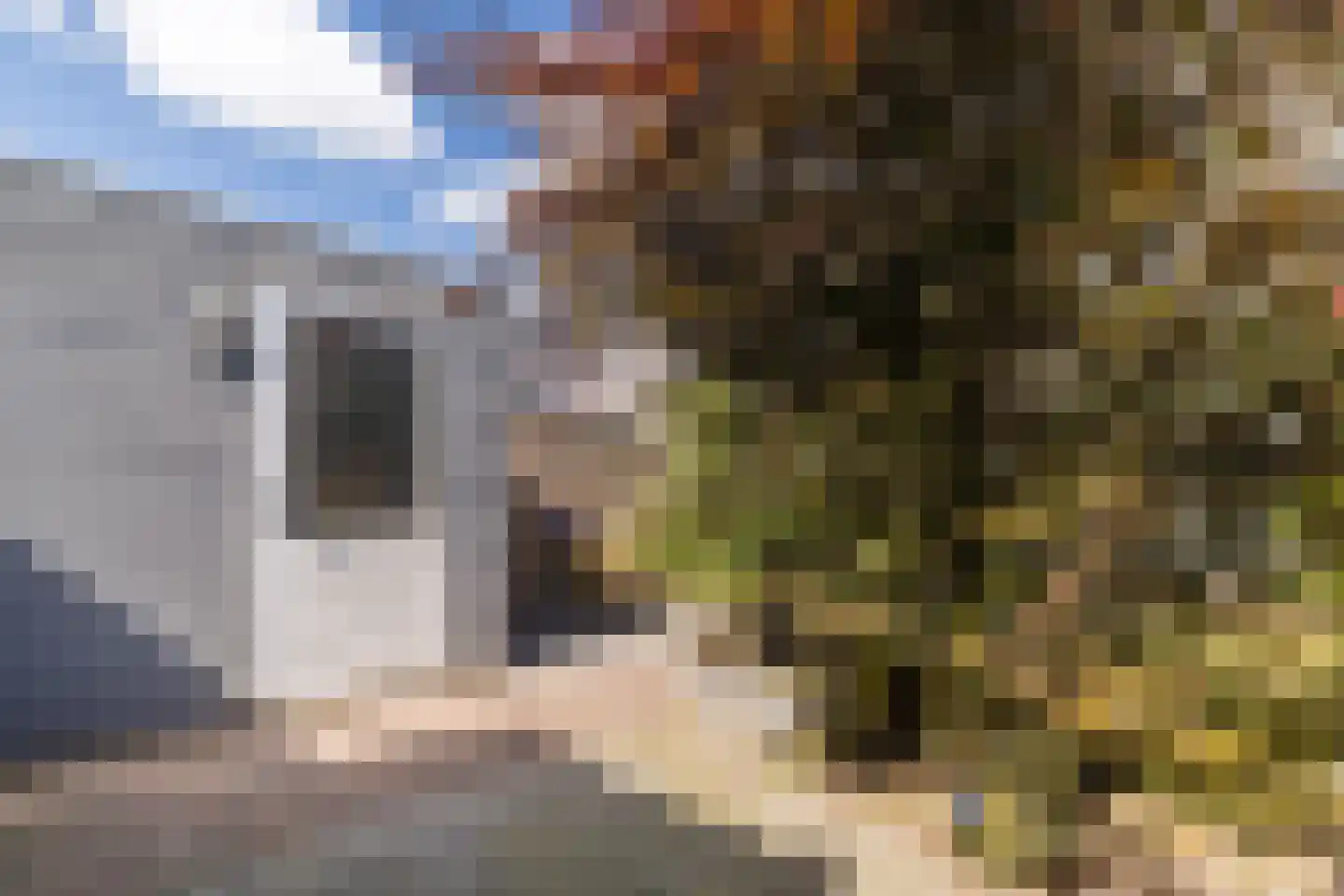 Prattenburg 5 Vleuten thumbnail 17