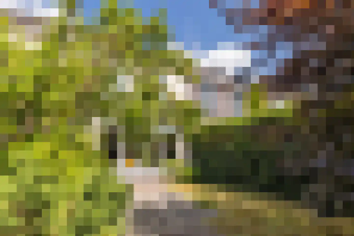 Prattenburg 5 Vleuten thumbnail 23