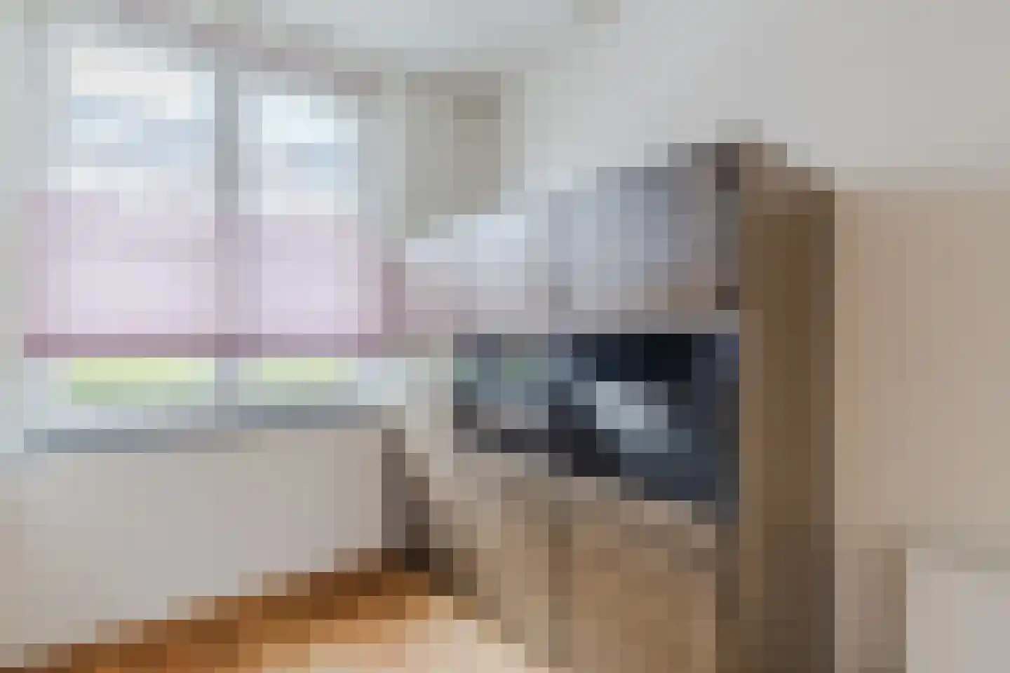 Prattenburg 5 Vleuten thumbnail 34