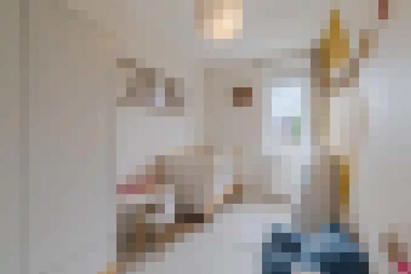 Prattenburg 5 Vleuten thumbnail 50