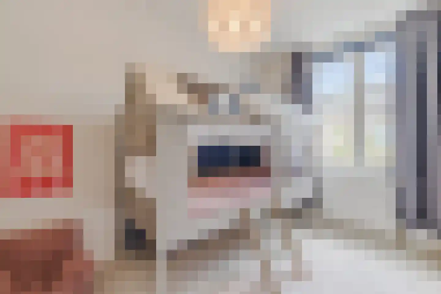 Prattenburg 5 Vleuten thumbnail 54