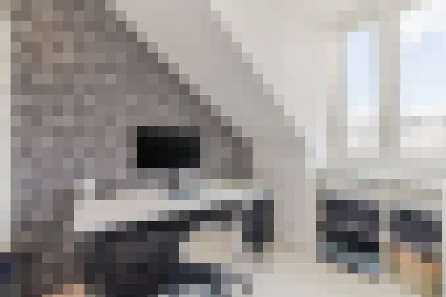 Prattenburg 5 Vleuten thumbnail 63