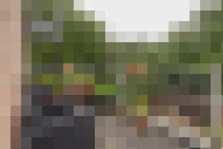 Prattenburg 68 Haarlem thumbnail 17