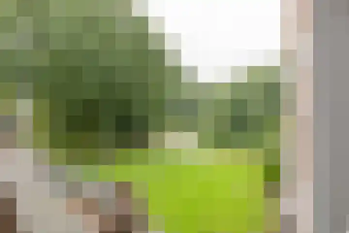 Prattenburg 68 Haarlem thumbnail 23