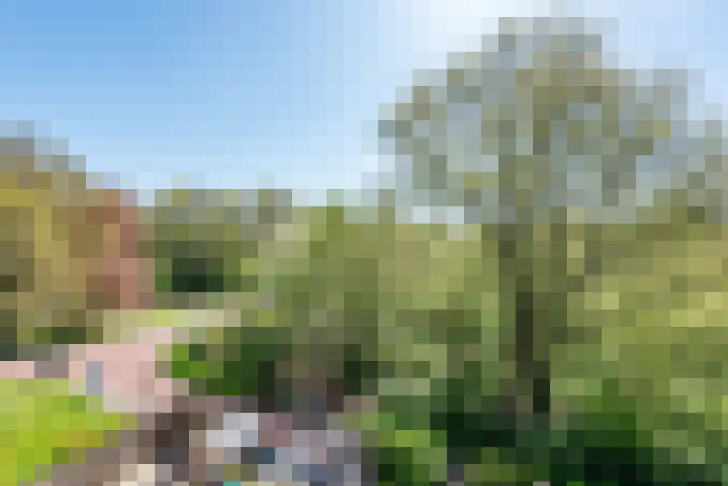 Prattenburg 76 Haarlem thumbnail 25