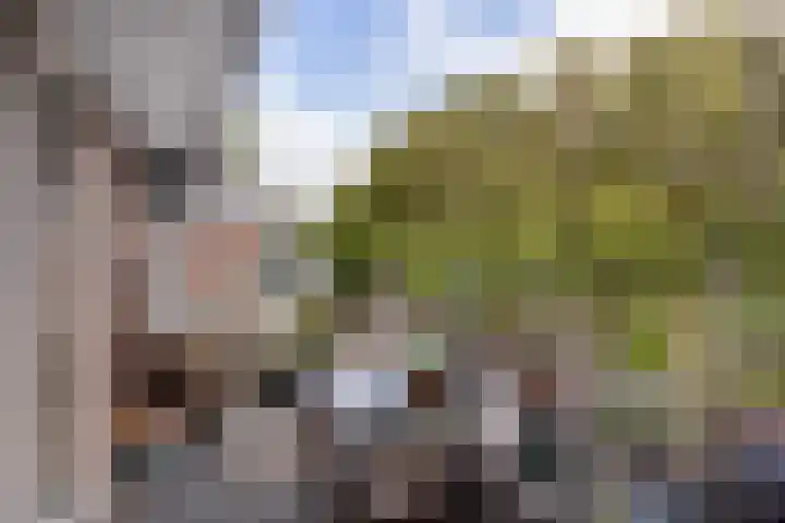 Prattenburg 84 Haarlem thumbnail 10