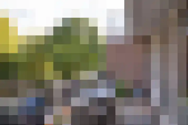 Prattenburg 84 Haarlem thumbnail 11