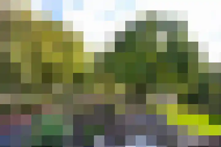 Prattenburg 84 Haarlem thumbnail 13