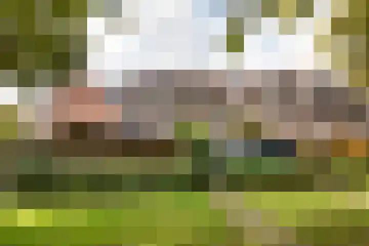 Prattenburg 84 Haarlem thumbnail 25