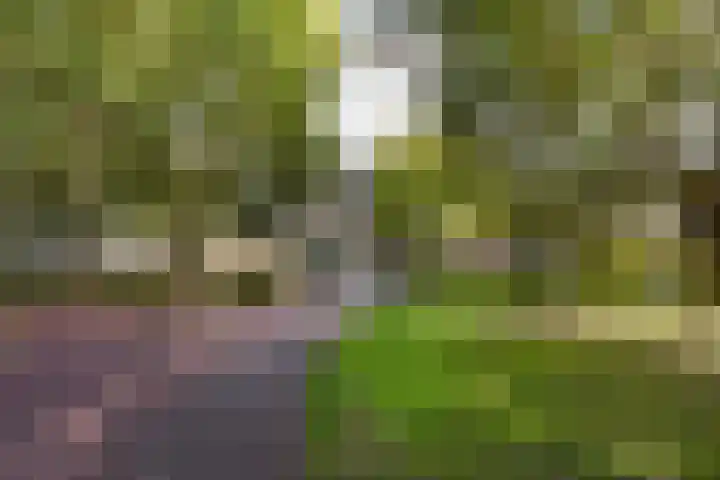 Prattenburg 84 Haarlem thumbnail 26