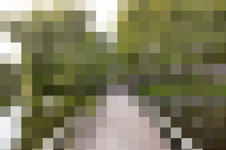 Prattenburg 84 Haarlem thumbnail 27