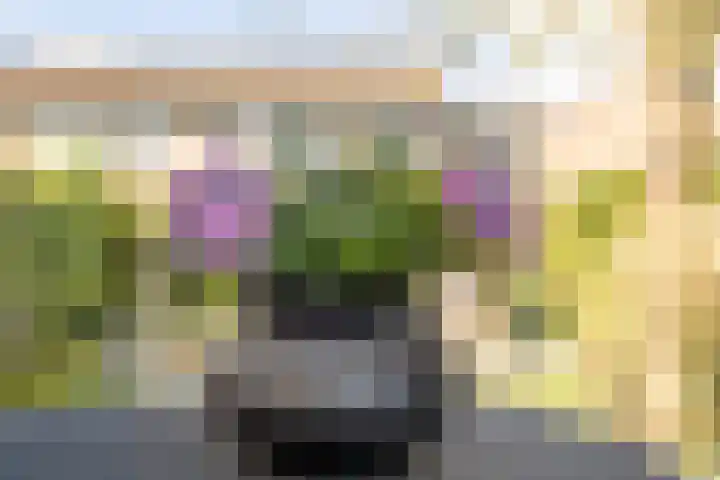 Prattenburg 89 Dordrecht thumbnail 12