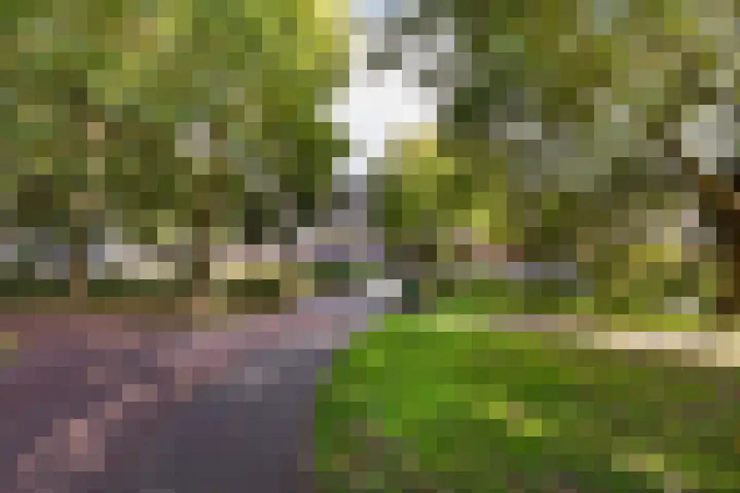 Prattenburg 96 Haarlem thumbnail 30