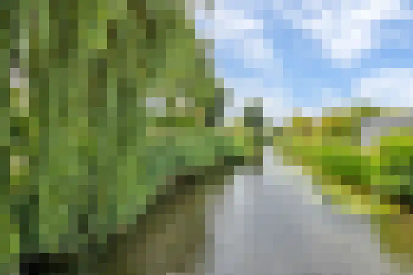 Prattenburg 98 Dordrecht thumbnail 39