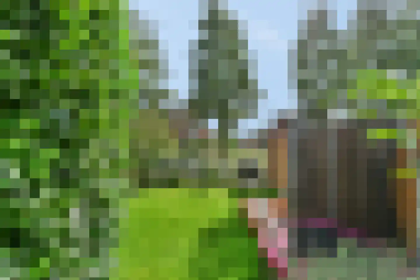 Prattenburgseberg 22 Amersfoort thumbnail 18