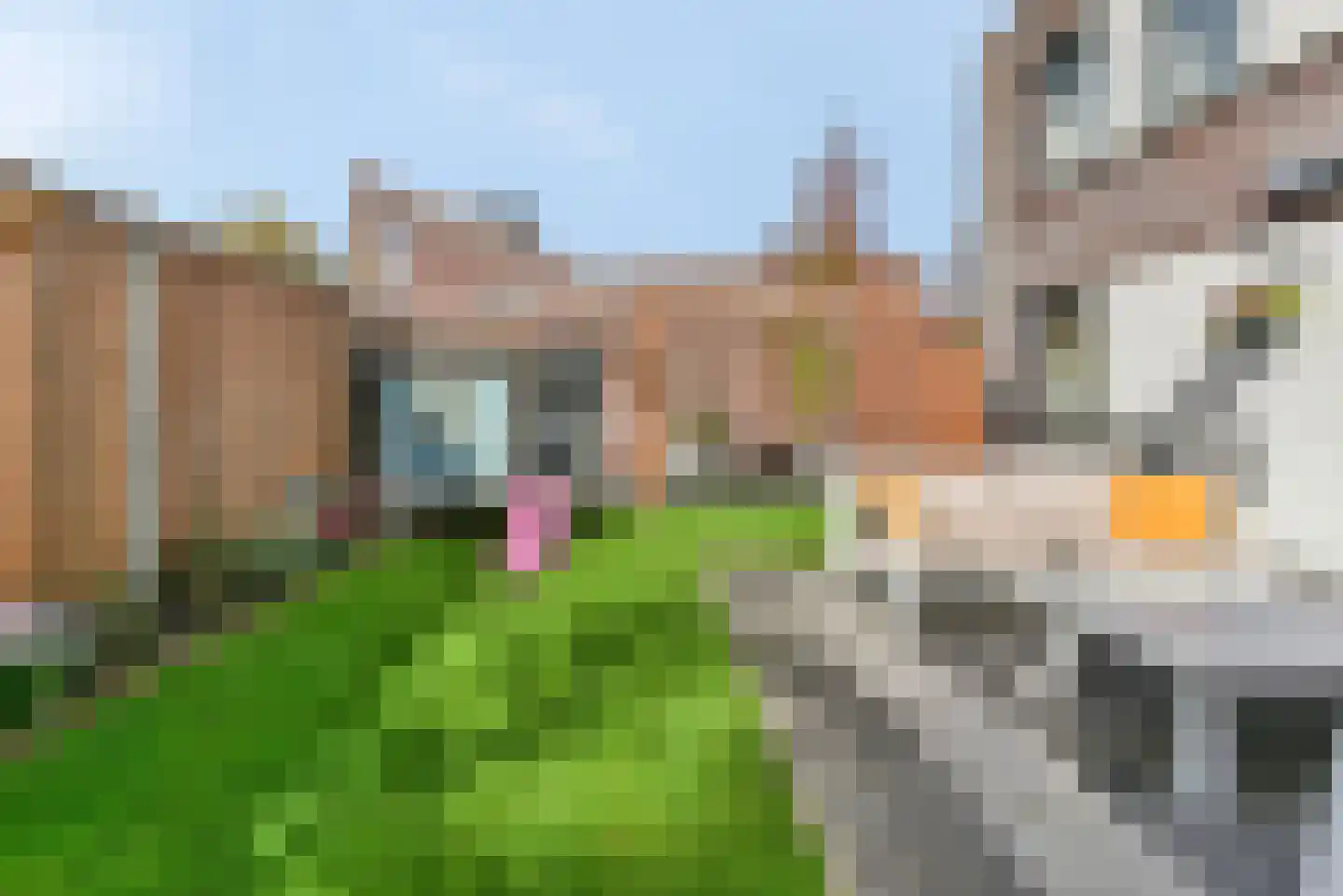 Prattenburgseberg 22 Amersfoort thumbnail 35