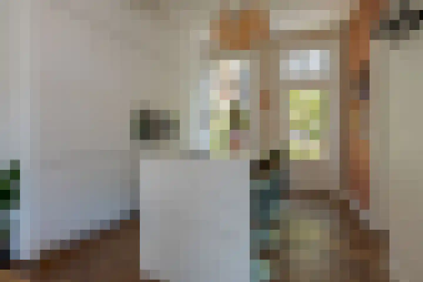 Praubstraat 15 Zwolle thumbnail 11
