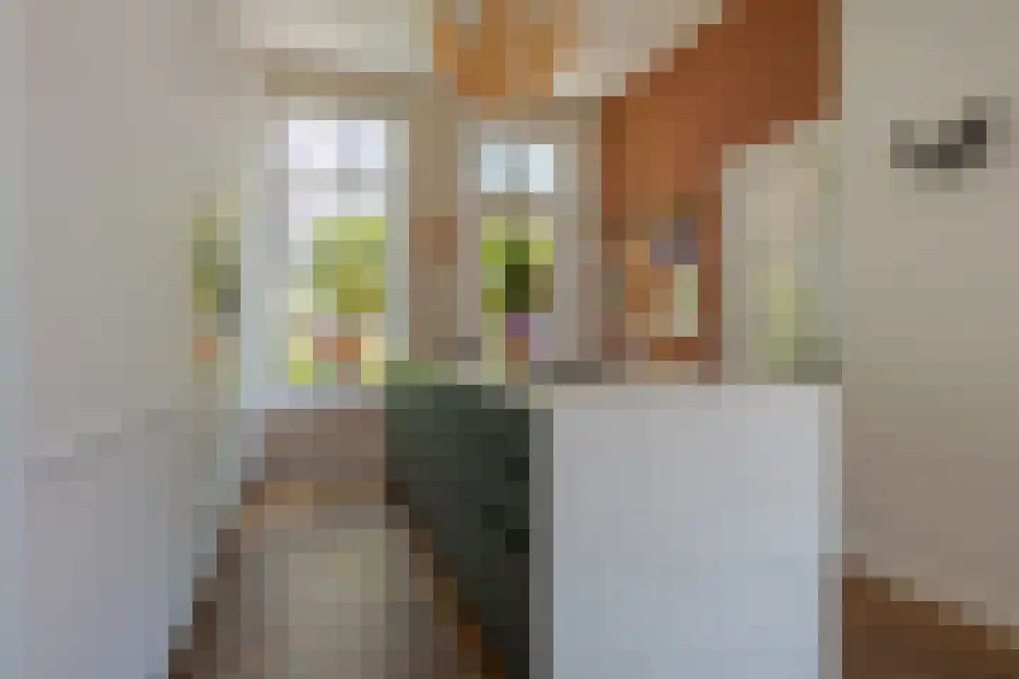 Praubstraat 15 Zwolle thumbnail 12
