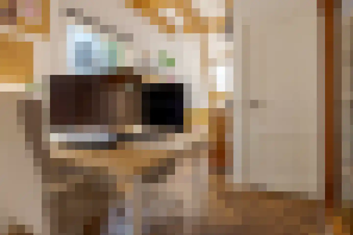 Praubstraat 15 Zwolle thumbnail 43
