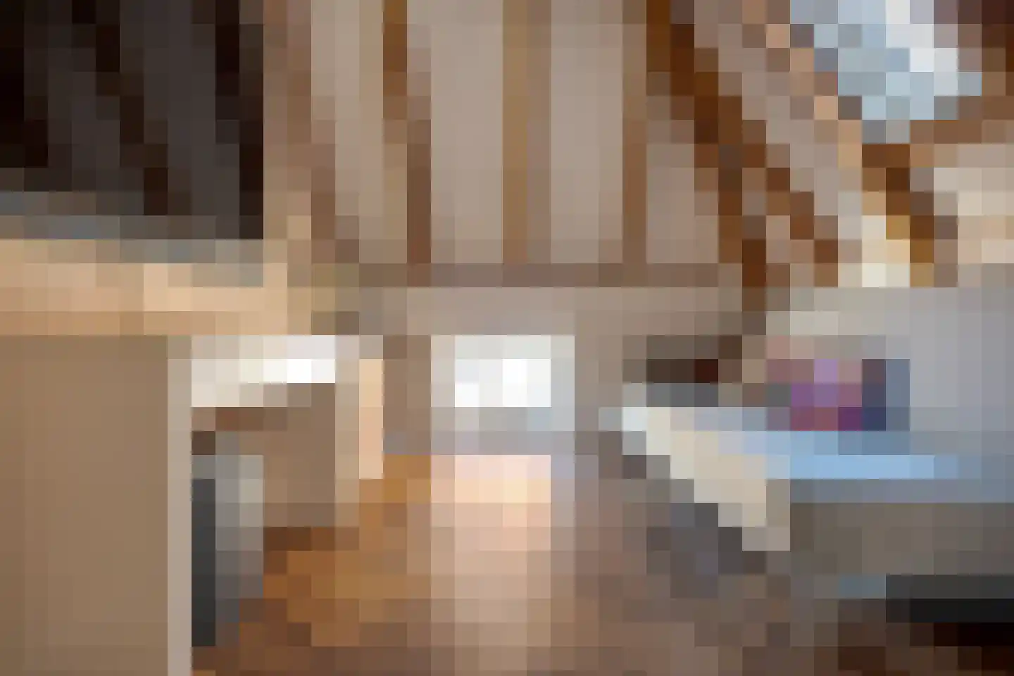 Praubstraat 15 Zwolle thumbnail 47