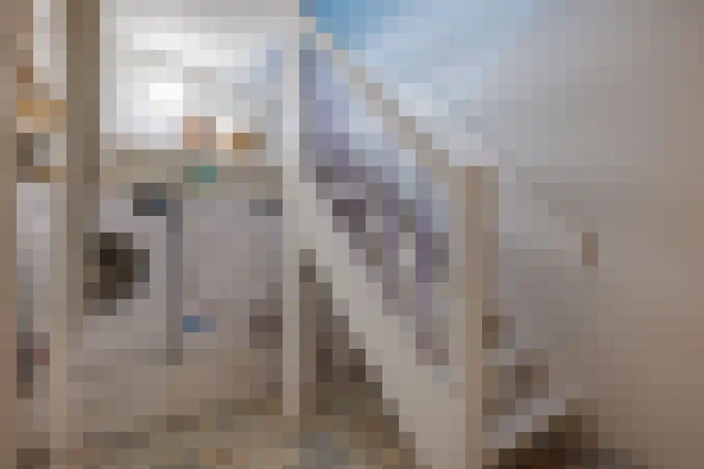 Praubstraat 15 Zwolle thumbnail 53