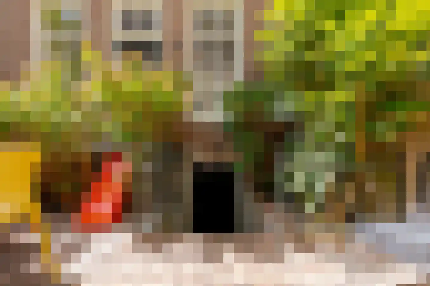Praubstraat 15 Zwolle thumbnail 56