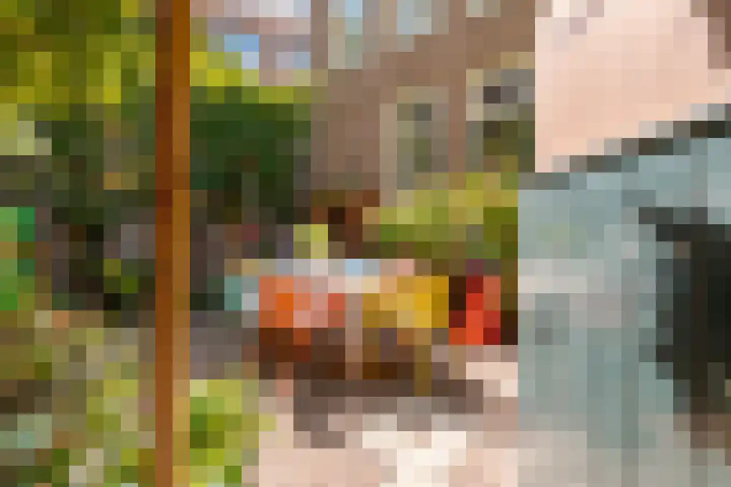 Praubstraat 15 Zwolle thumbnail 57