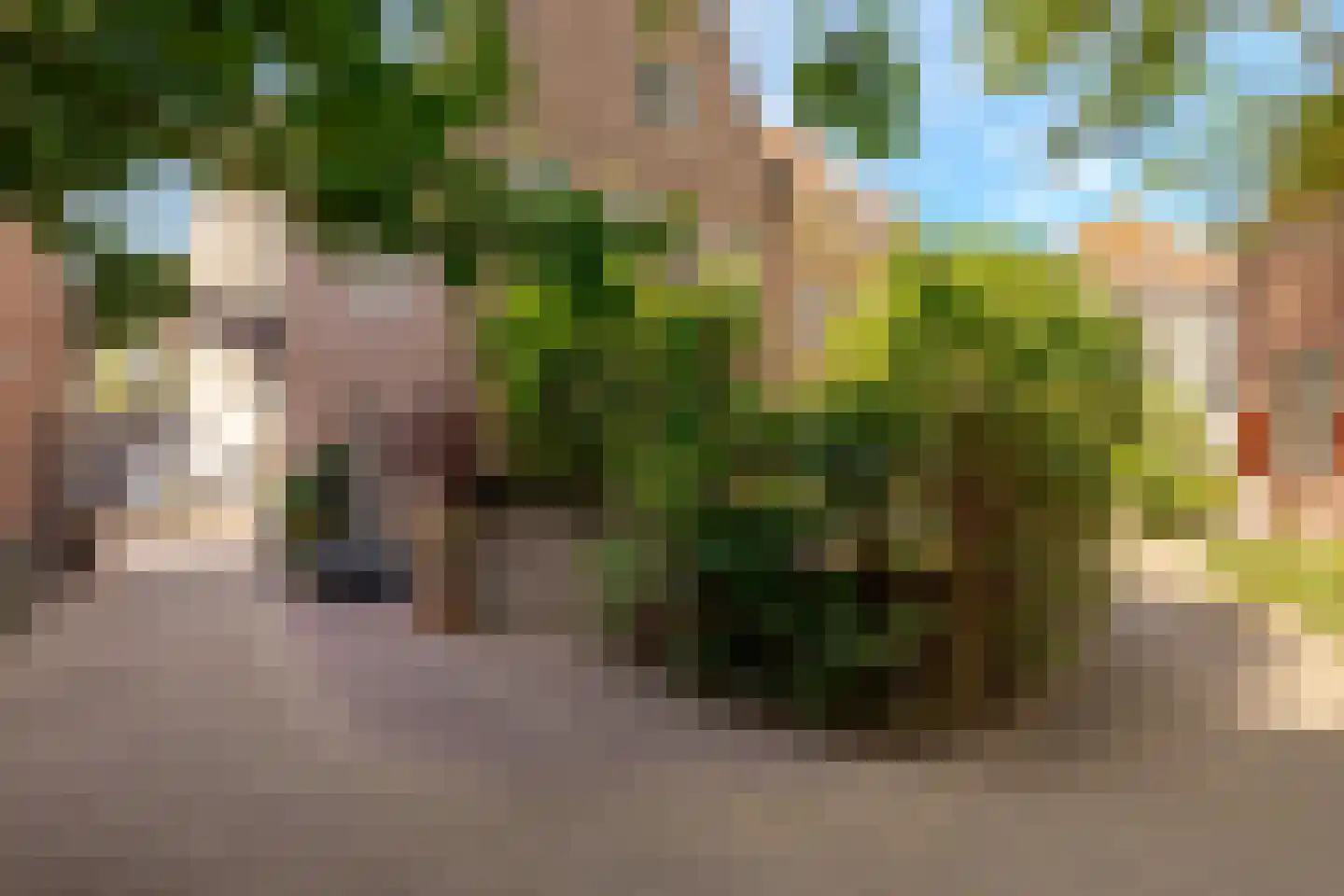 Praubstraat 15 Zwolle thumbnail 61