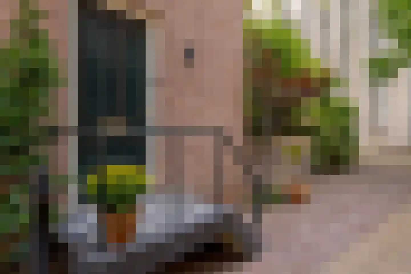 Praubstraat 15 Zwolle thumbnail 7